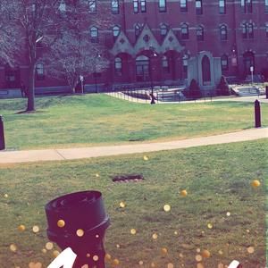 Meet your Posher, Steve